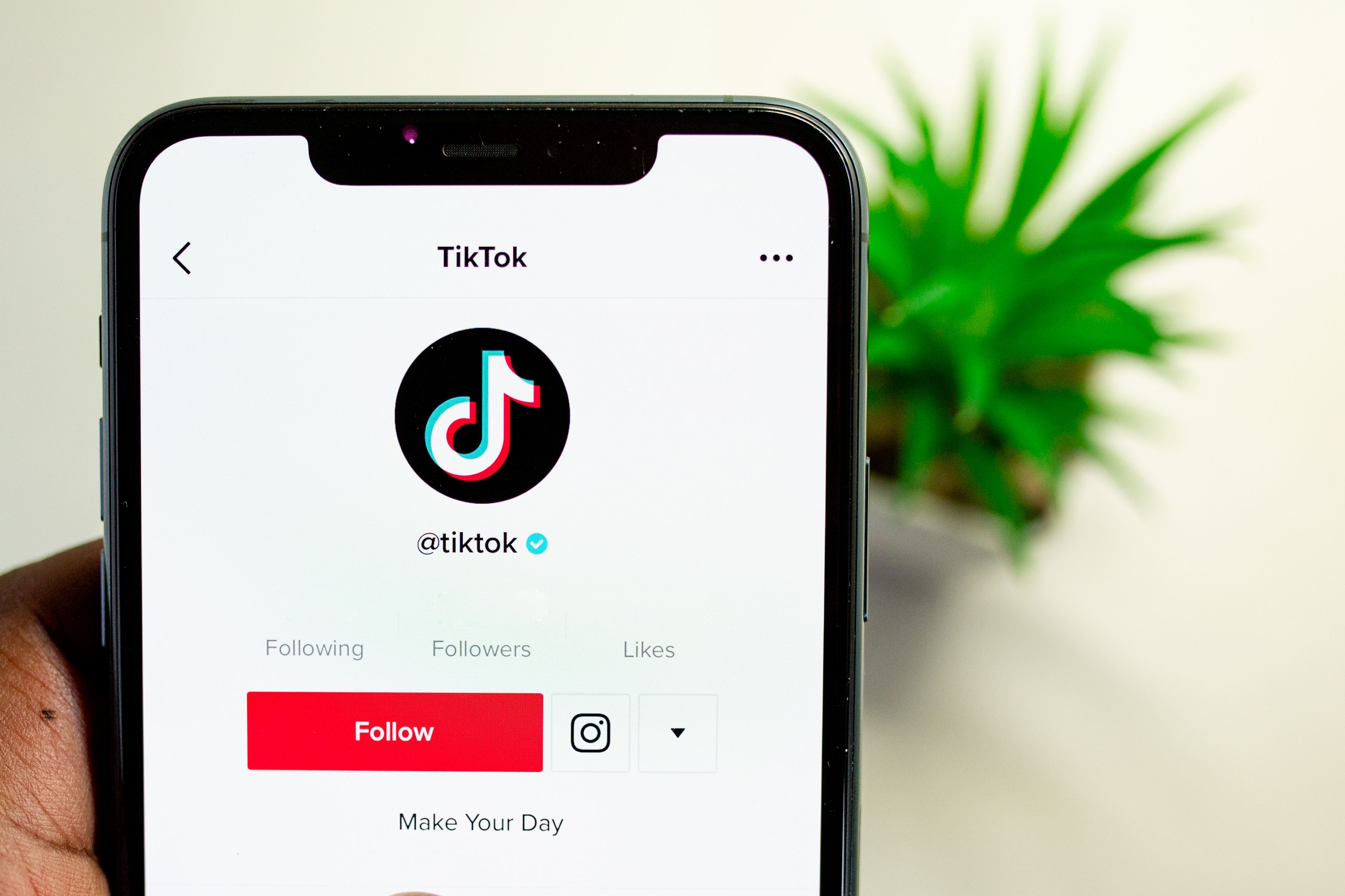 Gestión de contenido en TikTok